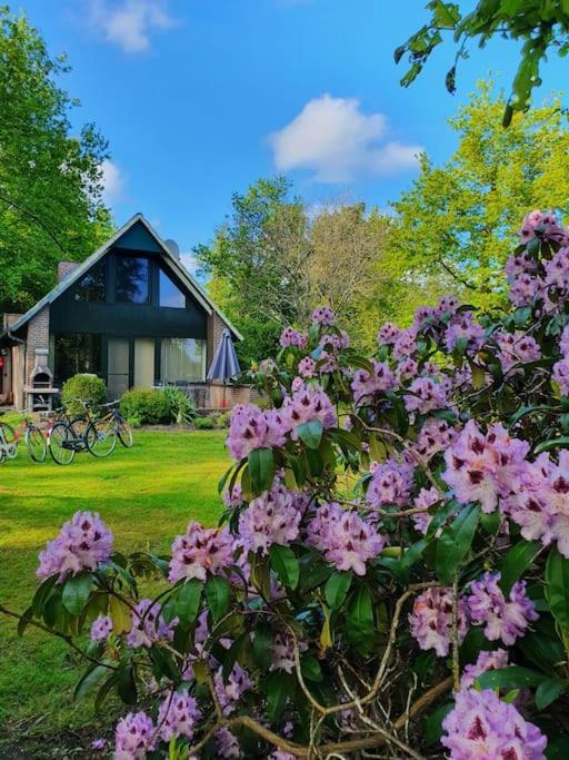 Ferienhaus Blauer See Mit Optionalem Hot-Tub บอคฮอร์น ภายนอก รูปภาพ