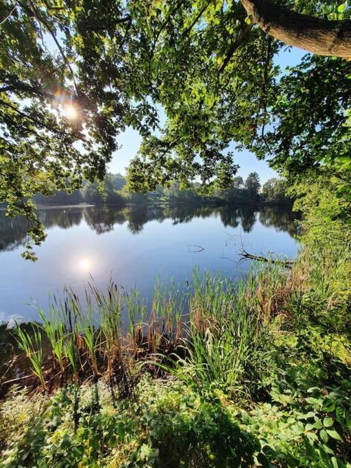 Ferienhaus Blauer See Mit Optionalem Hot-Tub บอคฮอร์น ภายนอก รูปภาพ